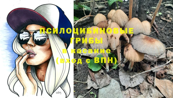 круглые Алексин