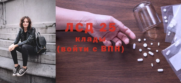 ГАЛЛЮЦИНОГЕННЫЕ ГРИБЫ Переславль-Залесский