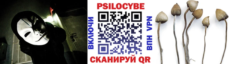 Псилоцибиновые грибы мухоморы  это наркотические препараты  Тосно 