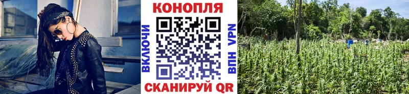 МАРИХУАНА марихуана Тосно